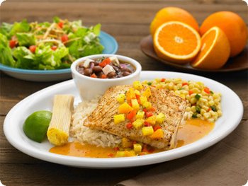 DESCARGAR LIBRO LA DIETA DEL METABOLISMO ACELERADO