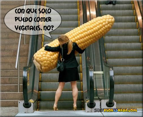 DIETA TRIGLICERIDOS ALTOS